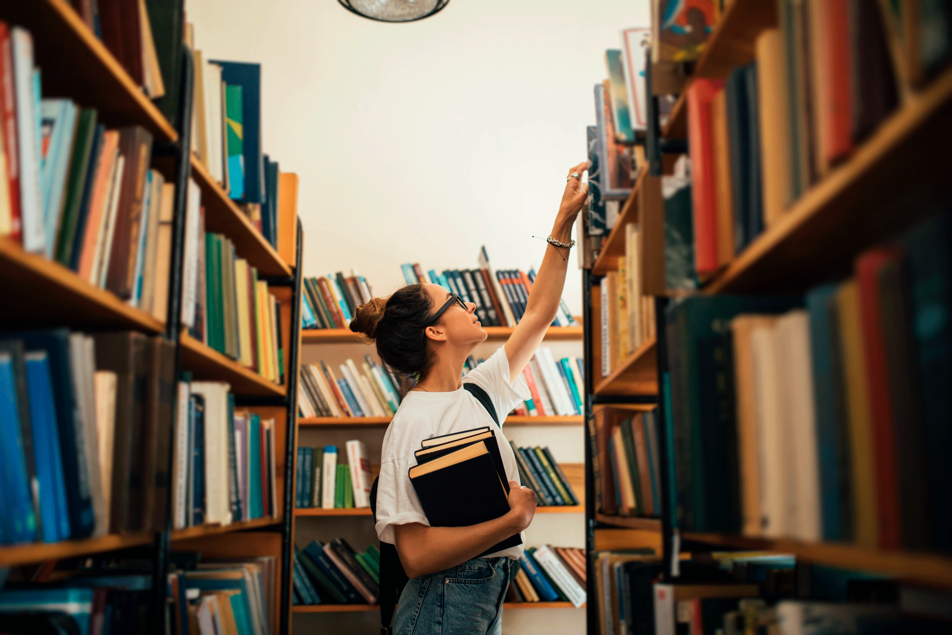 biblioteca